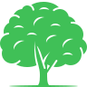 拾光树洞